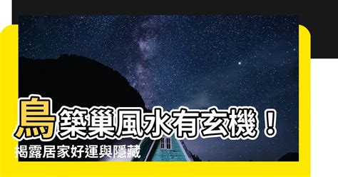 鳥在冷氣築巢風水|鳥巢風水：2024趨吉避兇